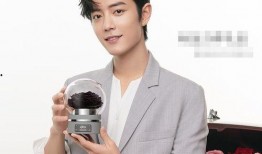 肖战最新玫瑰物料爆料,玫瑰映衬下的深情演绎