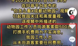 今日成都爆料消息新闻视频,视频揭露城市热点事件